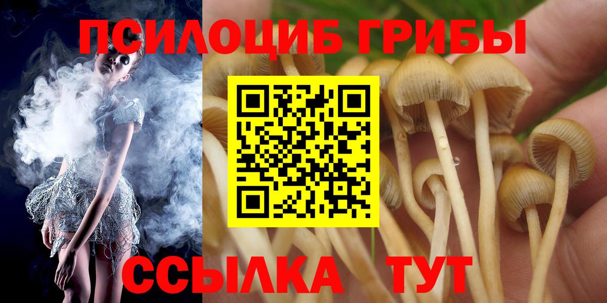 Воткинск  Псилоцибиновые грибы ЛСД  Вход с VPN 
